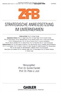 Strategische Anreizsetzung Im Unternehmen (Paperback)