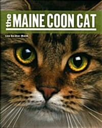 Maine Coon Cat PB (Paperback)