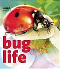 Bug Life (Hardcover)