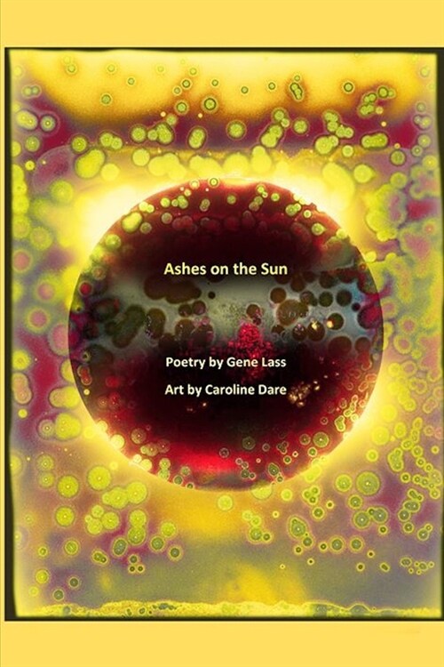 Ashes On The Sun (Paperback)