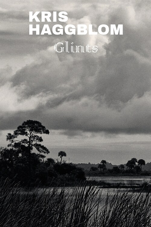 Glints (Hardcover)