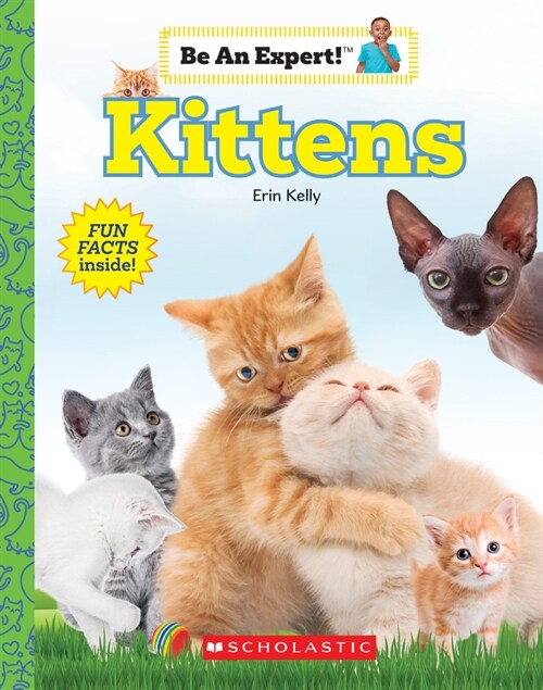 Kittens (Be an Expert!) (Library Edition) (Hardcover, Library)