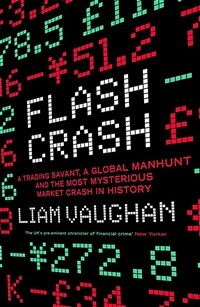 Flash Crash : A Trading Savant, a Global Manhunt and the Most Mysterious Market Crash in History (Paperback)