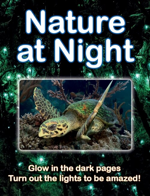 Nature at Night (Paperback)