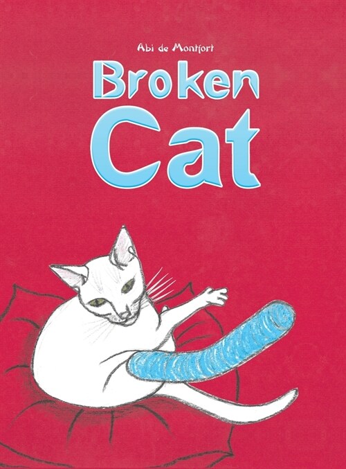 Broken Cat (Hardcover)