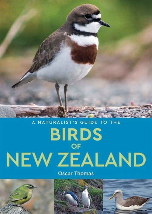 A Naturalists Guide to the Birds of New Zealand (Paperback)