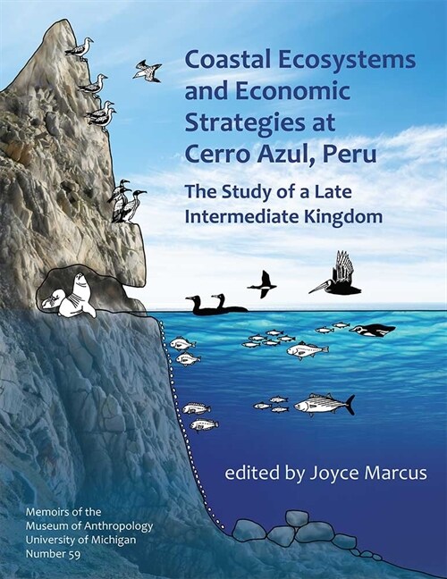 Coastal Ecosystems and Economic Strategies at Cerro Azul, Peru: The Study of a Late Intermediate Kingdom Volume 59 (Paperback)