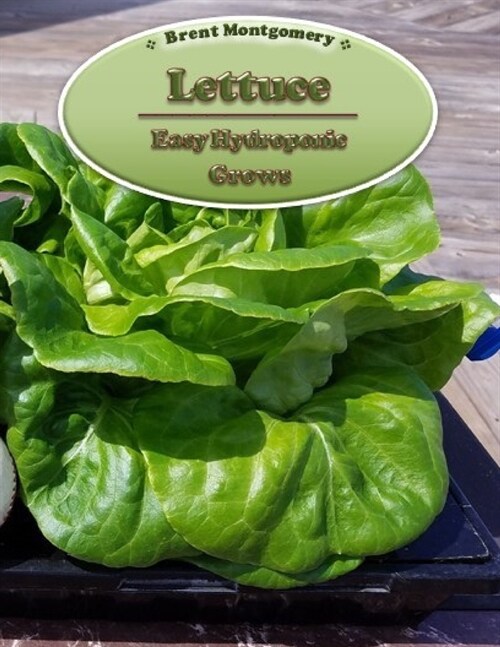 Lettuce - Easy Hydroponic Grows (Paperback)