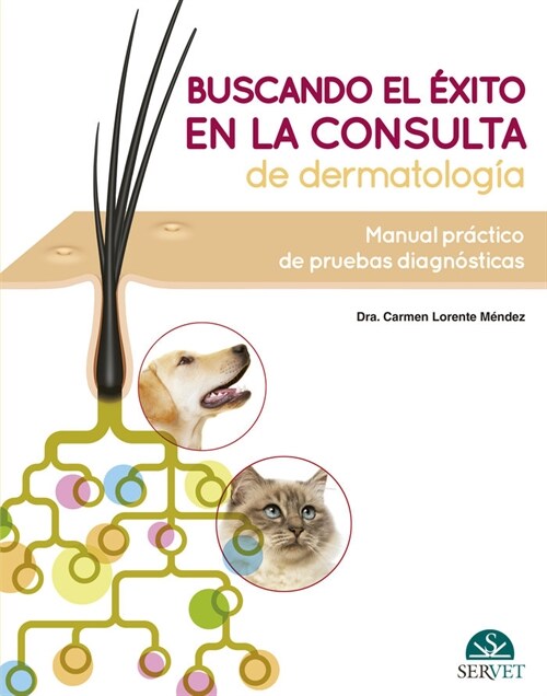 BUSCANDO EL EXITO EN LA CONSULTA DE DERMATOLOGIA: MANUAL PRA (Hardcover)