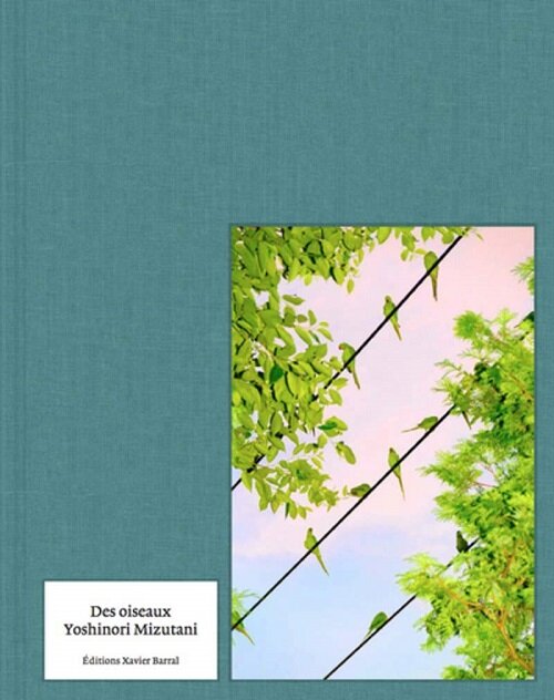 Yoshinori Mizutani - Des Oiseaux (Hardcover)