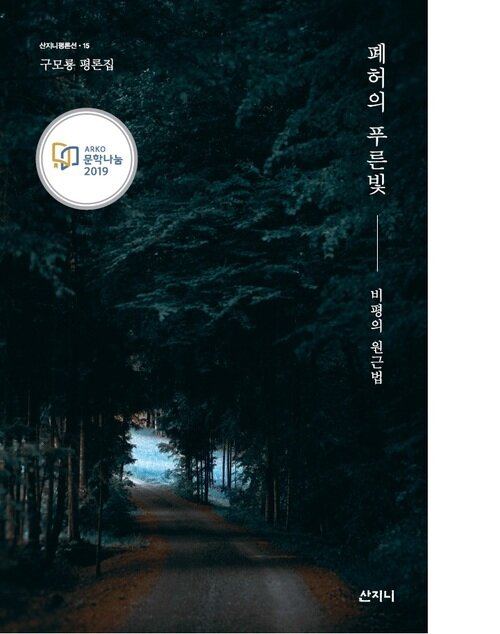 폐허의 푸른빛 : 비평의 원근법-산지니 평론선15