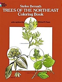 Trees of the Northeast Coloring Book (Paperback)