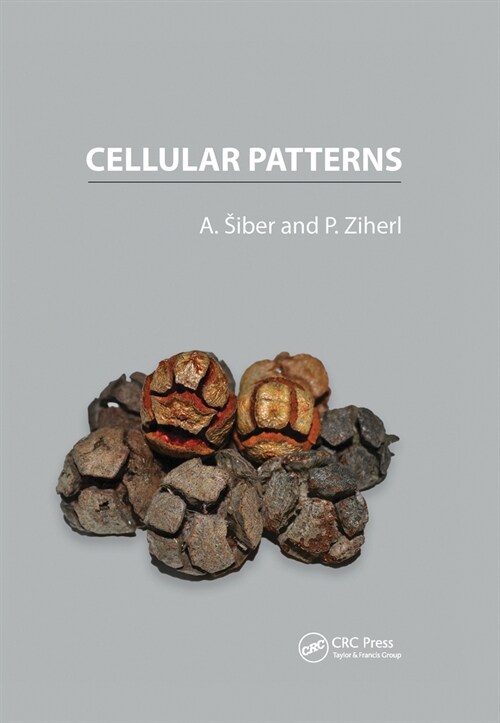 Cellular Patterns (Paperback, 1)
