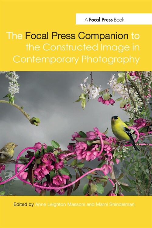 The Focal Press Companion to the Constructed Image in Contemporary Photography (Paperback, 1)