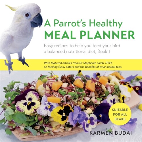 A Parrots Healthy Meal Planner : Easy Recipes to Help You Feed Your Bird a Balanced Nutritional Diet, Book 1 (Paperback)