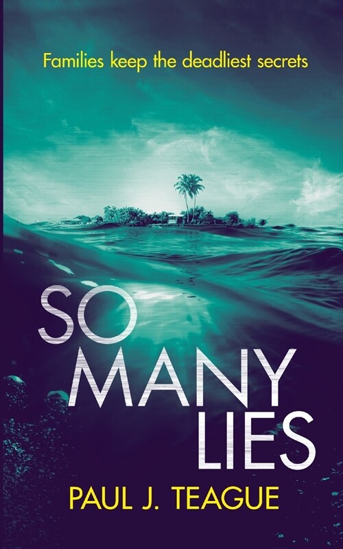 So Many Lies (Paperback)