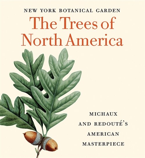 The Trees of North America: Michaux and Redout?s American Masterpiece (Tiny Folio) (Hardcover)