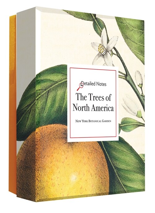 The Trees of North America: A Detailed Notes Notecard Box (Other)