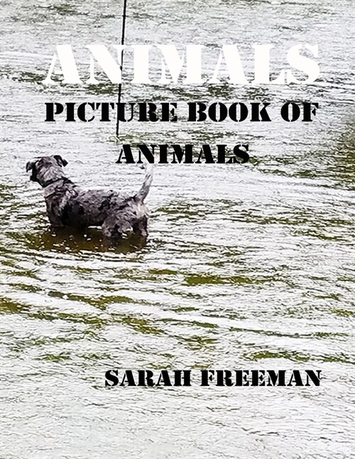 Animals (Paperback)