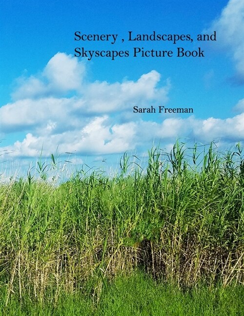 Scenery, Landscapes, and Skyscapes Picture Book (Paperback)