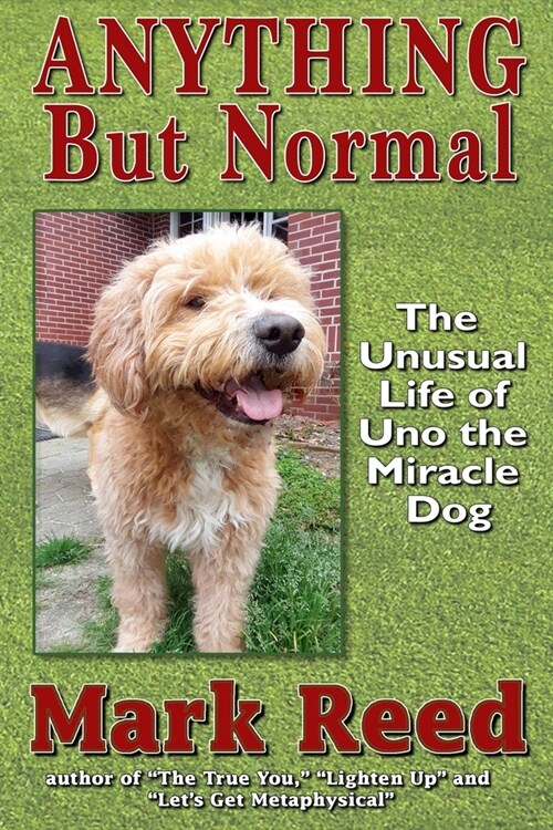 Anything But Normal: The Unusual Life of Uno the Miracle Dog (Paperback)