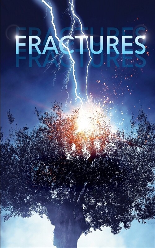Fractures (Paperback)