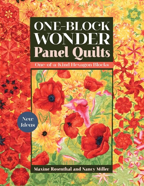 One-Block Wonder Panel Quilts: New Ideas; One-Of-A-Kind Hexagon Blocks (Paperback)