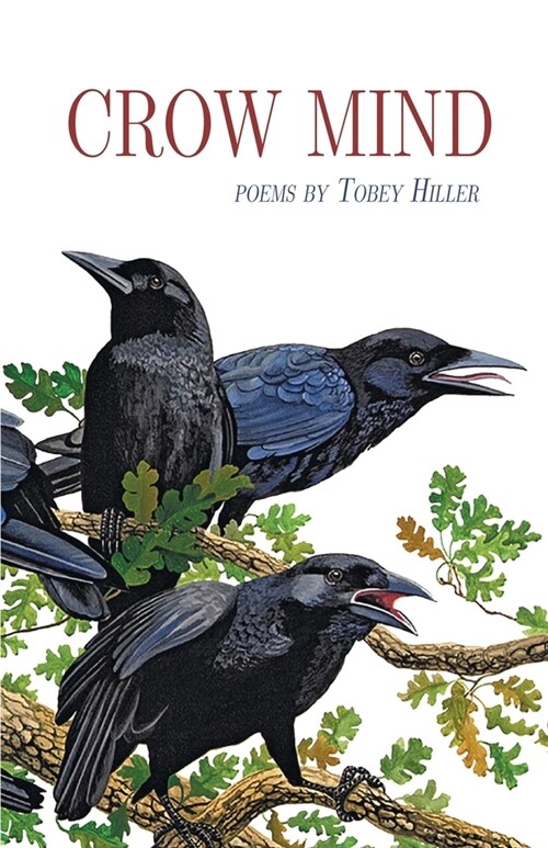 Crow Mind (Paperback)