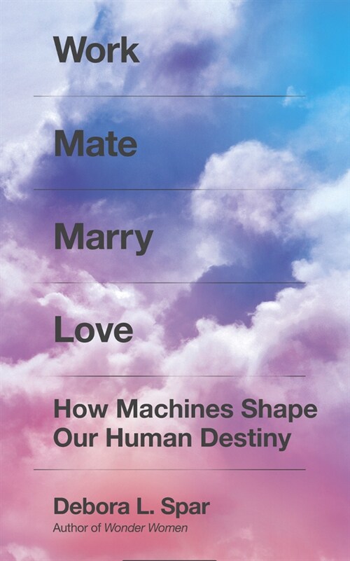 Work Mate Marry Love: How Machines Shape Our Human Destiny (Audio CD)