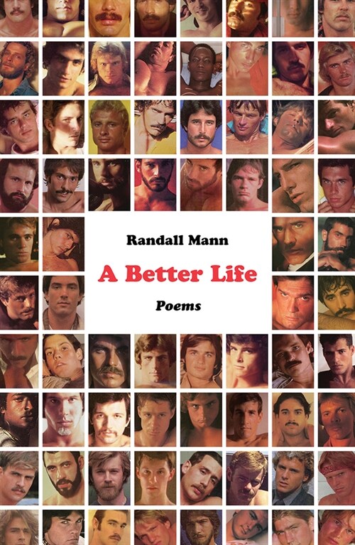 A Better Life: Poems (Paperback)