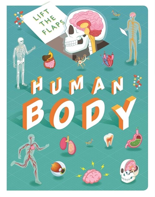 Lift the Flaps: Human Body: Lift-The-Flap Book (Board Books)