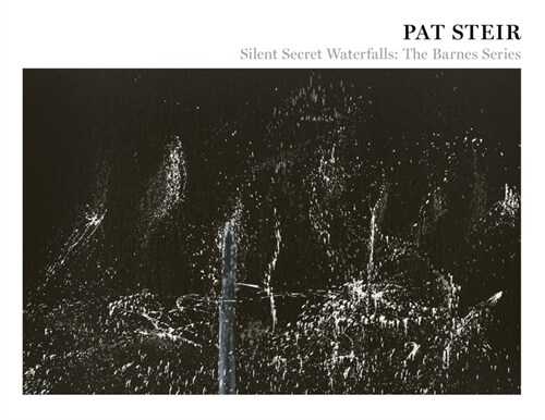 Pat Steir: Silent Secret Waterfalls: The Barnes Series (Paperback)