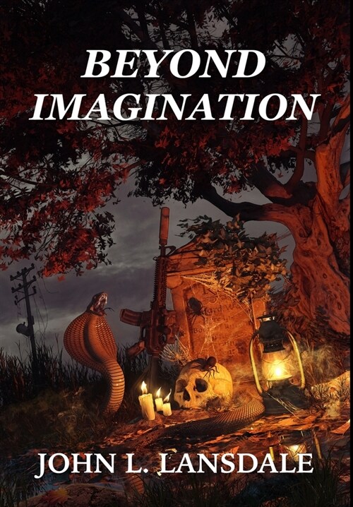 Beyond Imagination (Hardcover)