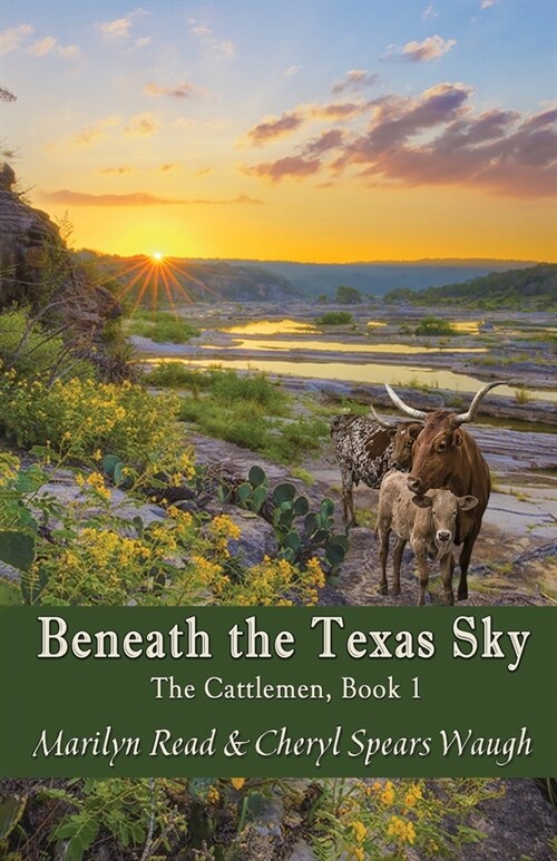 Beneath the Texas Sky (Paperback)