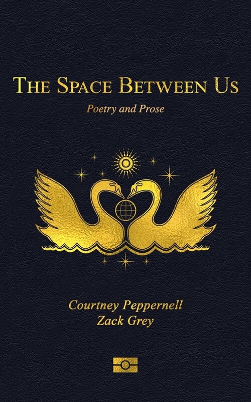 The Space Between Us: Poetry and Prose (Paperback)