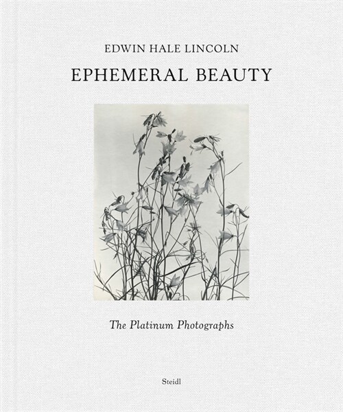 Edwin Hale Lincoln: Ephemeral Beauty: The Platinum Photographs (Hardcover)