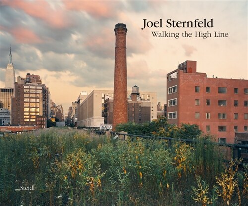 Joel Sternfeld: Walking the High Line: Revised Edition (Hardcover)
