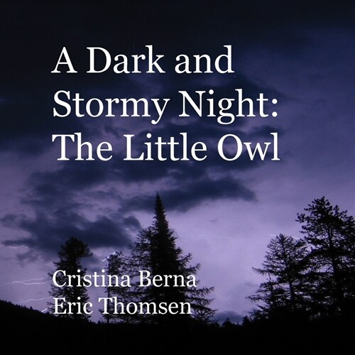A Dark and Stormy Night: The Little Owl (Paperback)