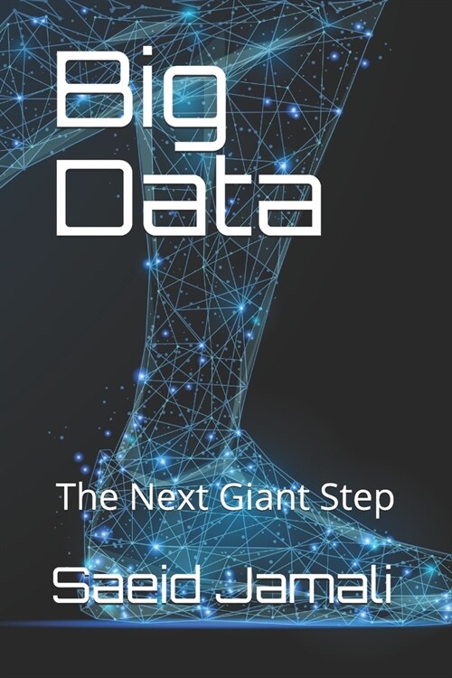 Big Data: The Next Giant Step (Paperback)