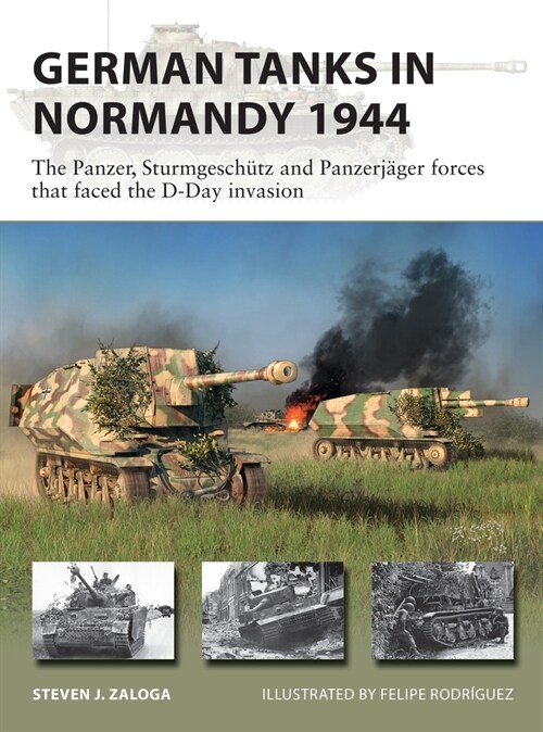 German Tanks in Normandy 1944 : The Panzer, Sturmgeschutz and Panzerjager forces that faced the D-Day invasion (Paperback)