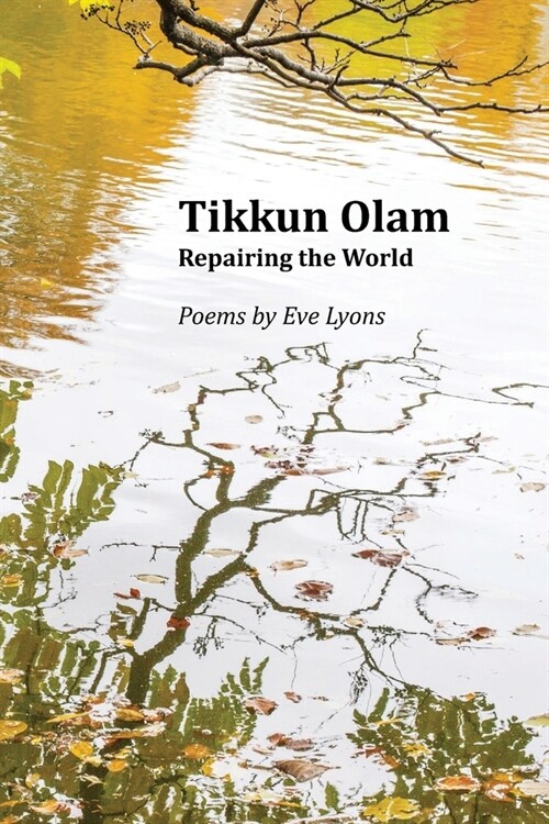 Tikkun Olam: Repairing the World (Paperback)