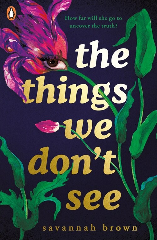 The Things We Dont See (Paperback)