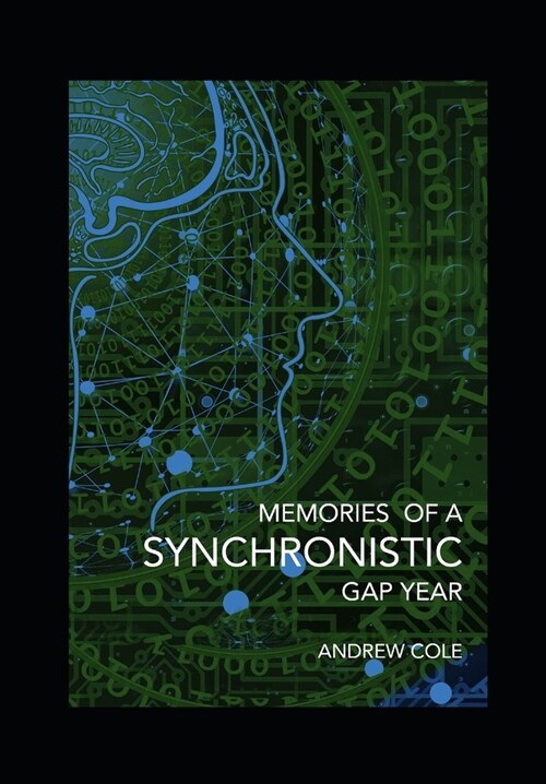 Memories of a Synchronistic Gap Year (Paperback)