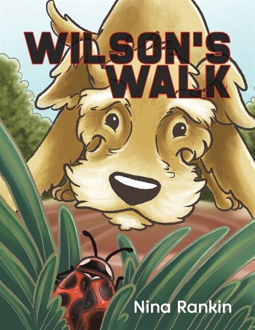 Wilsons Walk (Paperback)