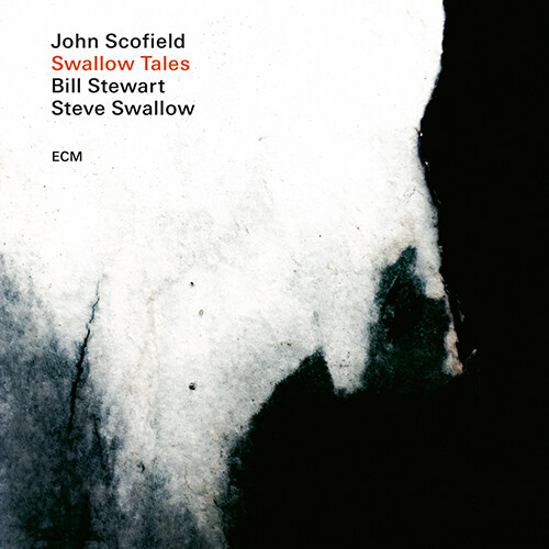 [수입] John Scofield, Steve Swallow, Bill Stewart - Swallow Tales [180g LP]