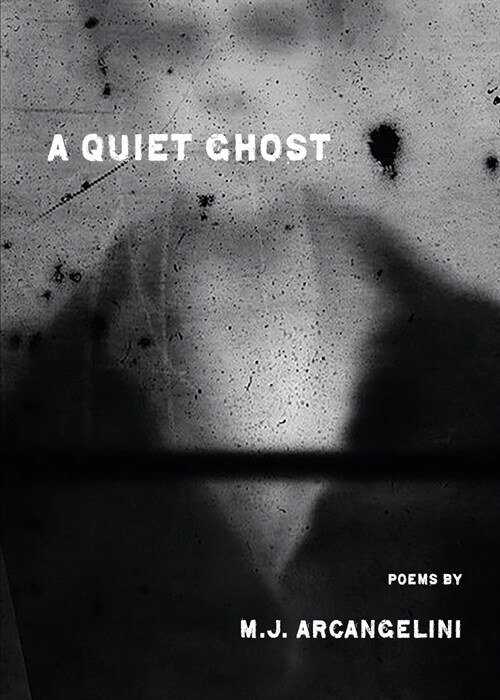 A Quiet Ghost (Paperback)