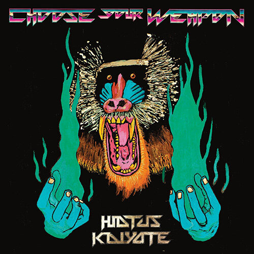 [수입] Hiatus Kaiyote - Choose Your Weapon [180g 투명핑크 2LP]