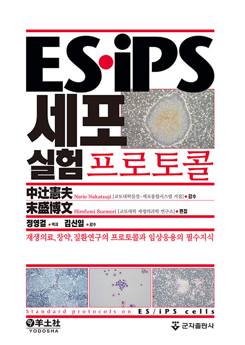 ES.iPS 세포실험 프로토콜