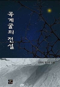 곡계굴의 전설 :김정희 청소년 소설 