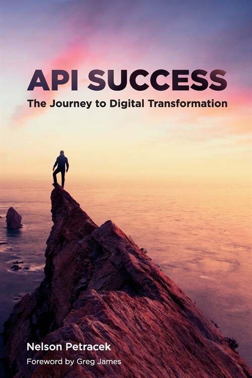 API Success: The Journey to Digital Transformation (Paperback)